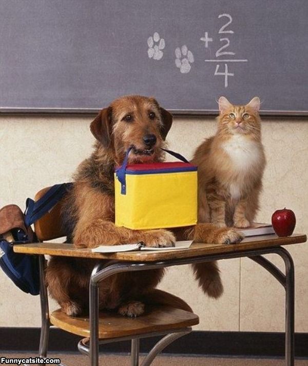 Una organización de aprendizaje